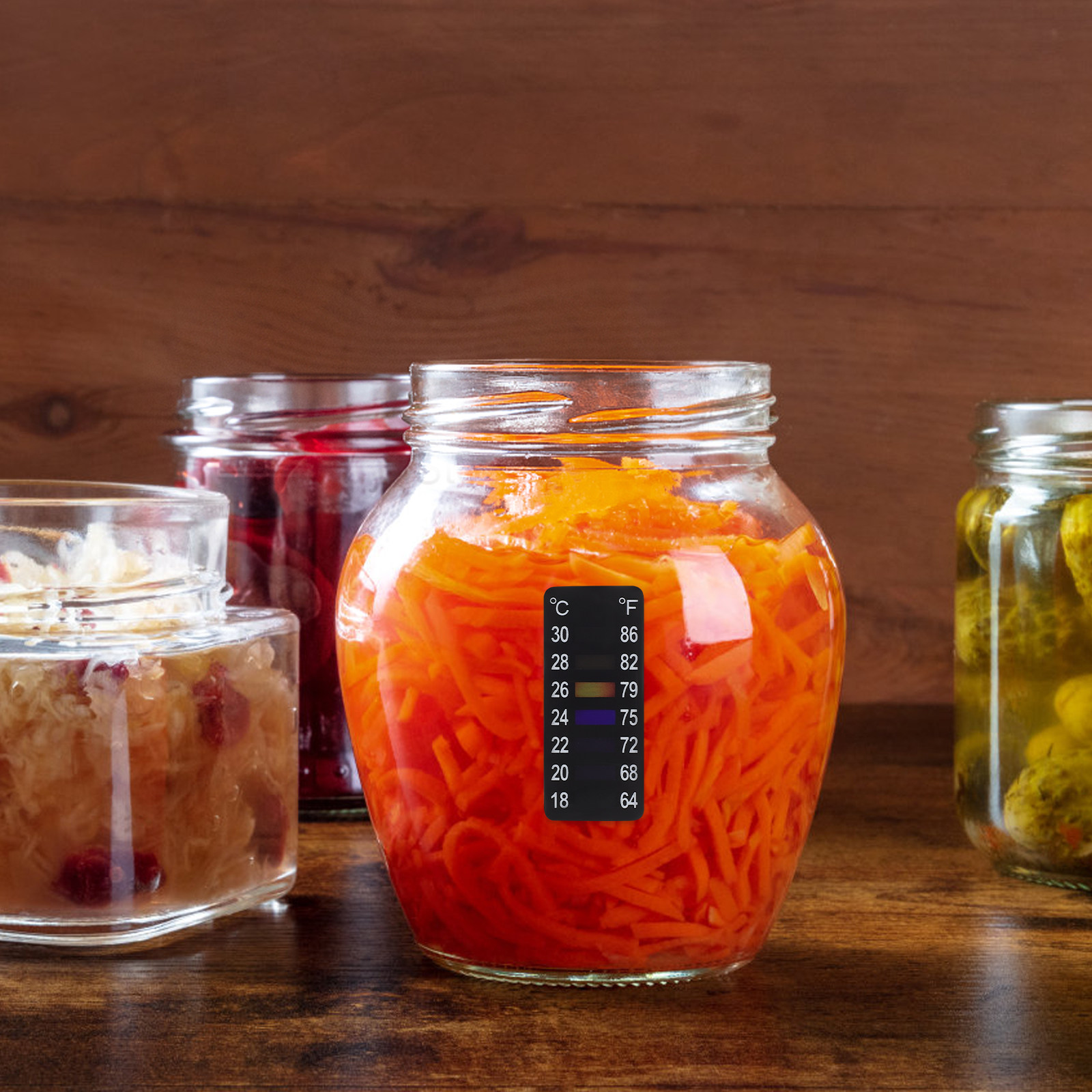 Beer Brewing Thermometer Porta - Temperature Strip Thermometer のレビューと価格