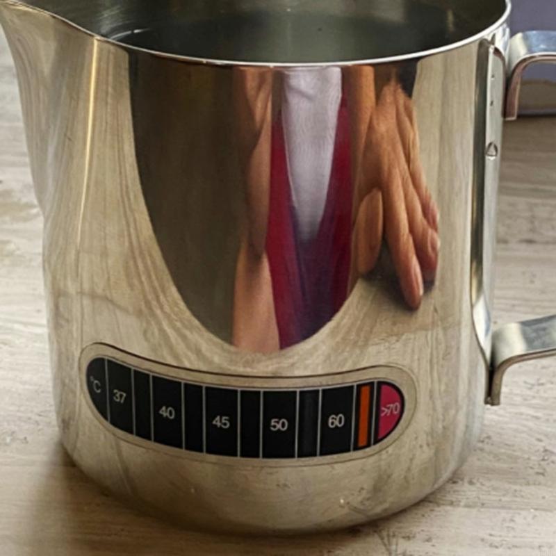 L9BE Temperature Display Stick - Temperature Strip Thermometer のレビューと価格